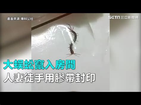 為什麼房間會有蜈蚣